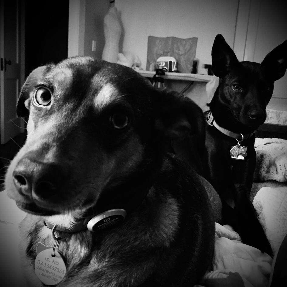 Portrait of Marlowe and Maisie, Laurel Trzaskoma, Pasadena, California